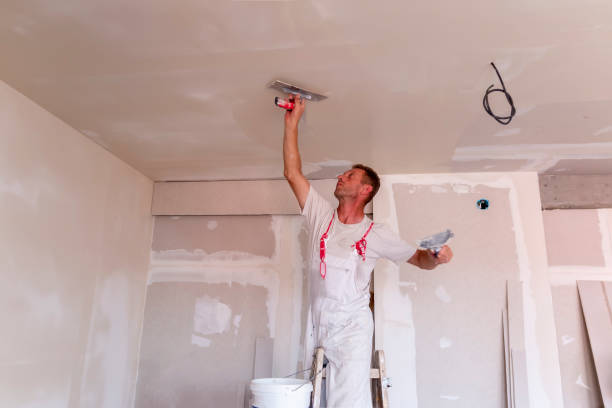 Best Residential Painting  in Hamilton, AL